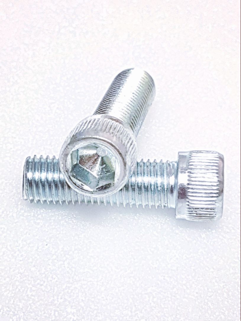 [HCM]ỐC KIẾNG RĂNG NGƯỢC 10LY x3CM x2 CON XI