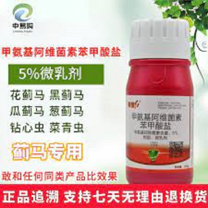 COMBO PHÒNG VÀ TRỊ TRĨ NHỆN TRUNG QUỐC HIỆU QUẢ CAO