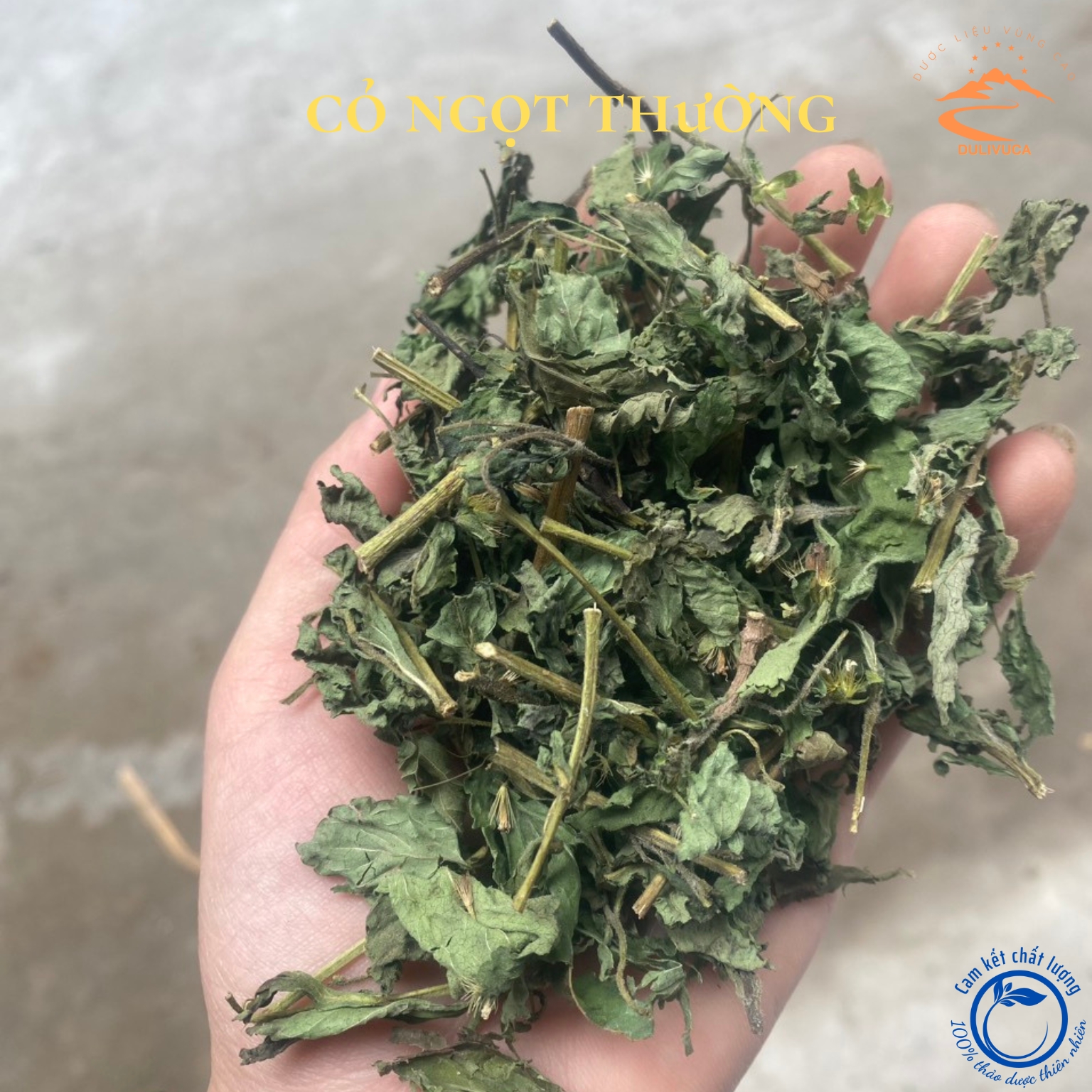 Cỏ ngọt khô loại 1 trồng sạch hữu cơ vùng núi Tây Bắc, cỏ ngọt nguyên lá sấy lạnh. Trà cỏ ngọt đường ăn kiêng tạo vị ngọt tự nhiên