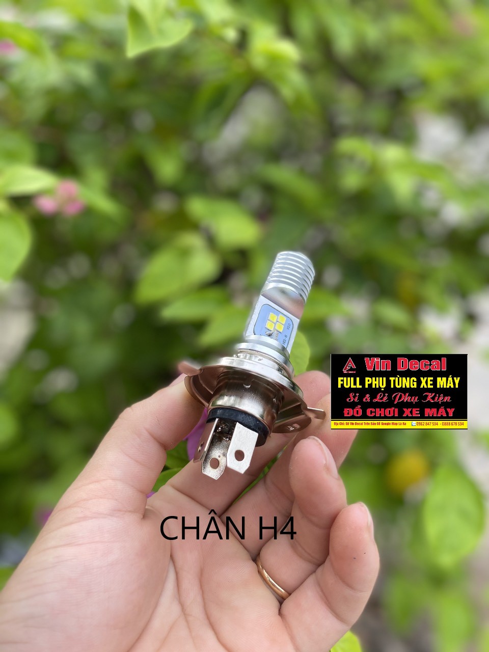 Đèn pha led OSRAM 12V cho xe máy( CHỌN CHÂN PHÍ DƯỚI)