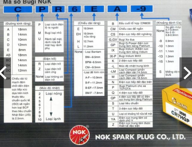 Bugi NGK CR9E