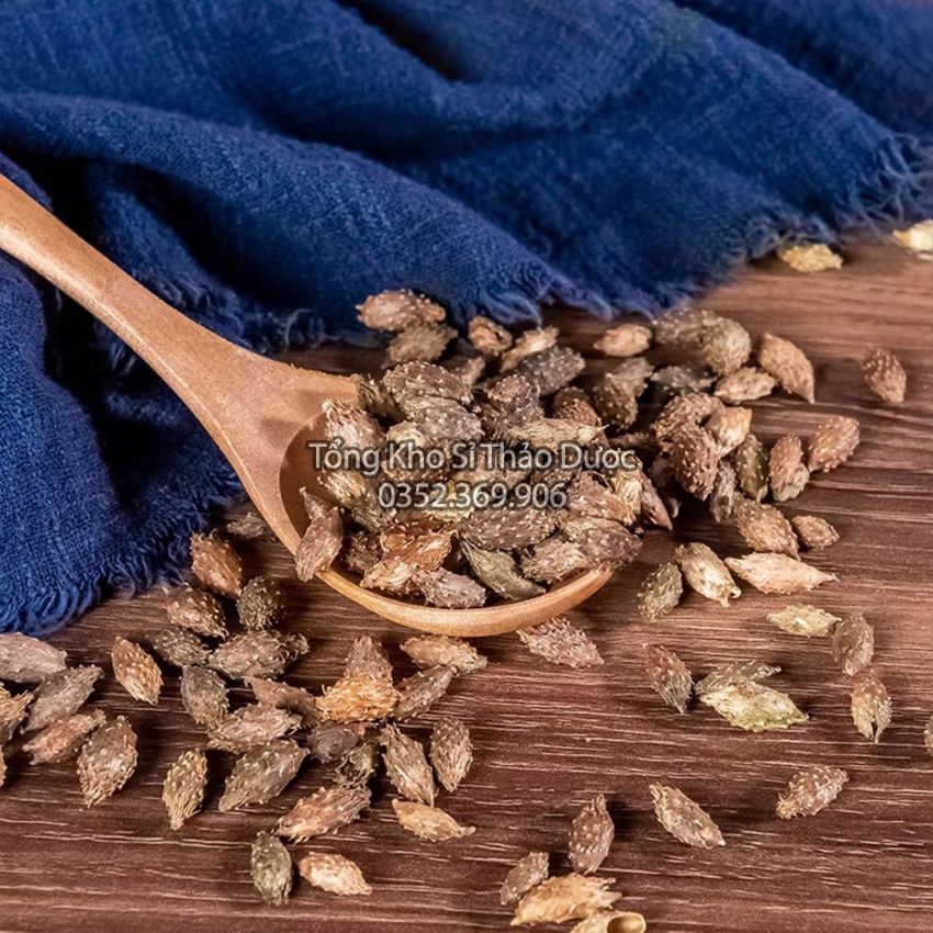 Ké Đầu Ngựa 500g (Thương Nhĩ Tử)