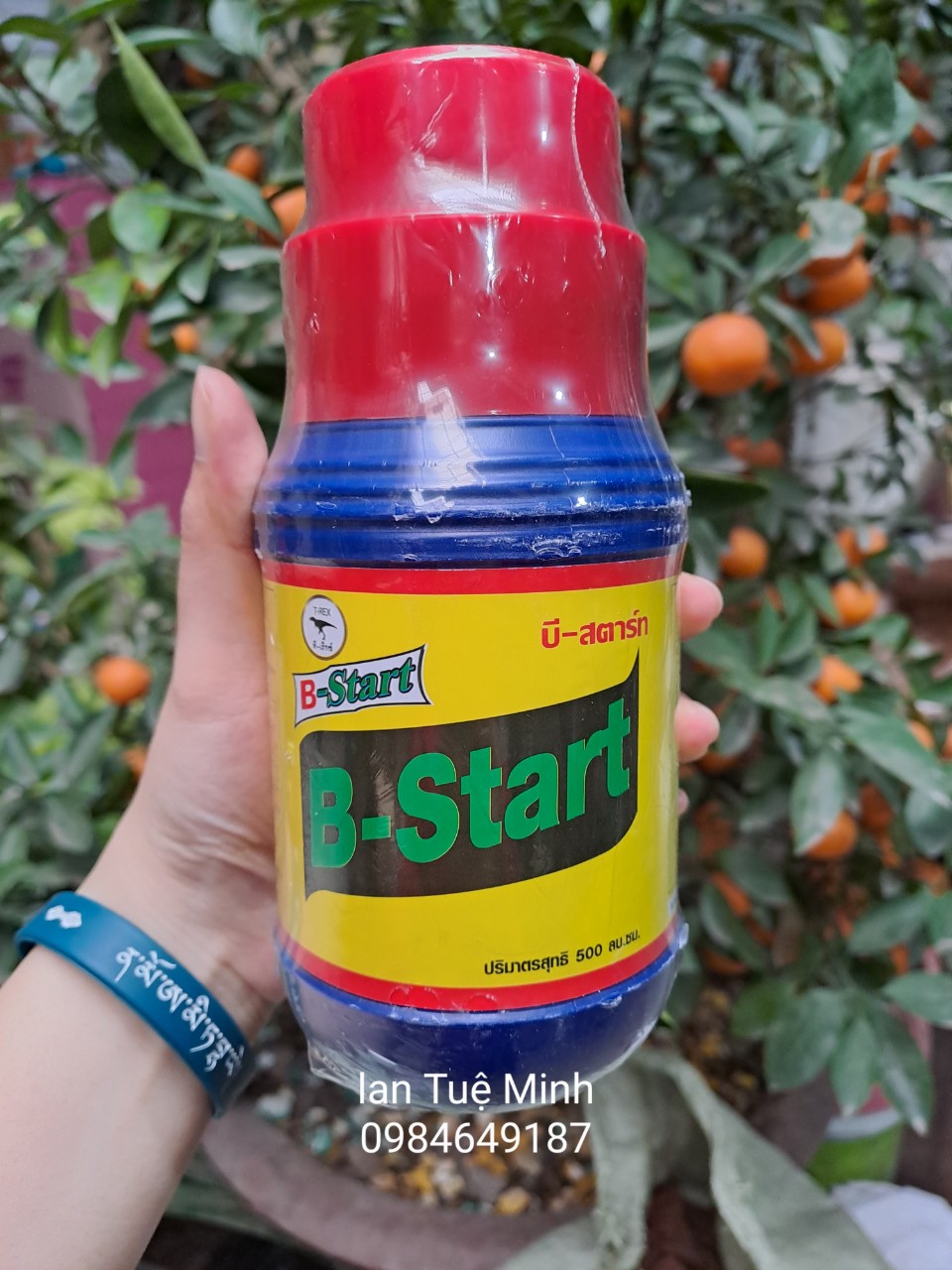 Vitamin B1 nhập khẩu Thái Lan - phân bón lá kết hợp siêu kích rễ (500ml)