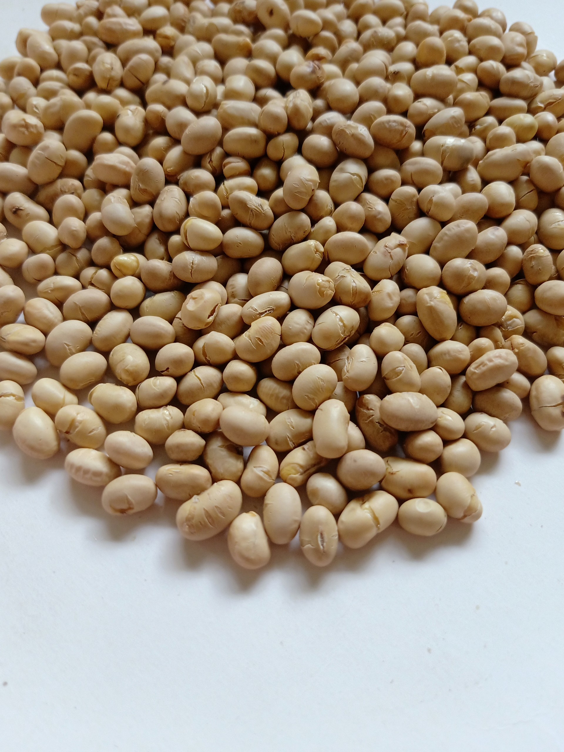 1kg Đậu nành Sấy giòn O'Casso