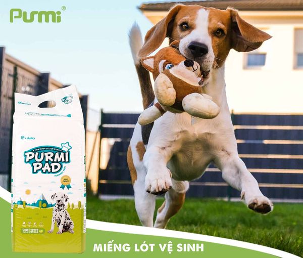 Purmi - Miếng lót vệ sinh cho chó 50 miếng 40 50