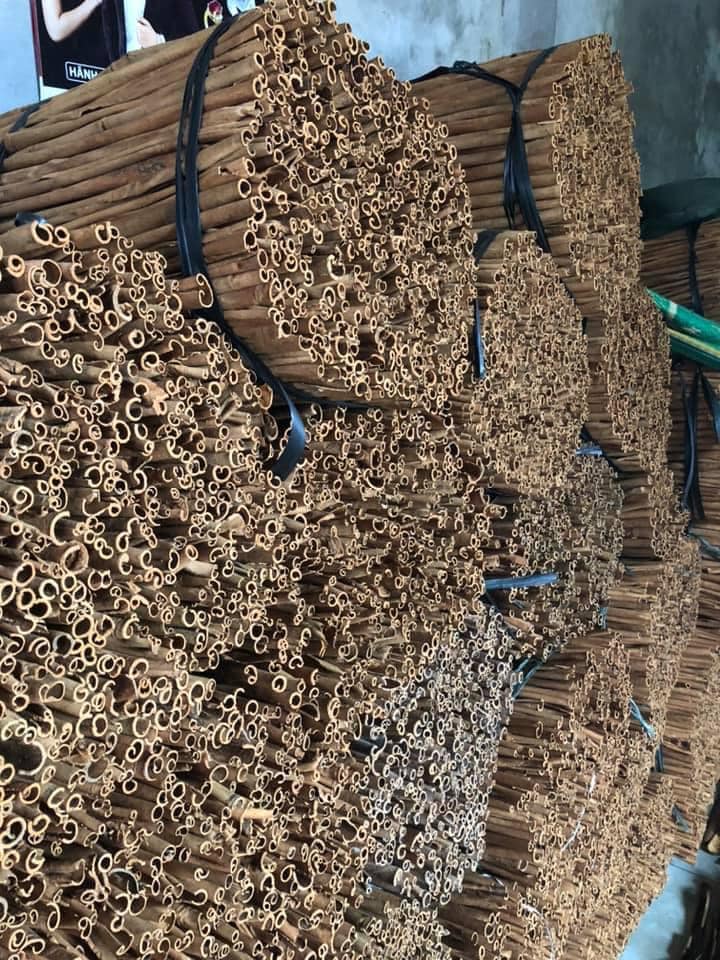 1kg Quế thanh chưa cạo vỏ ( vỏ quế thơm, sạch)