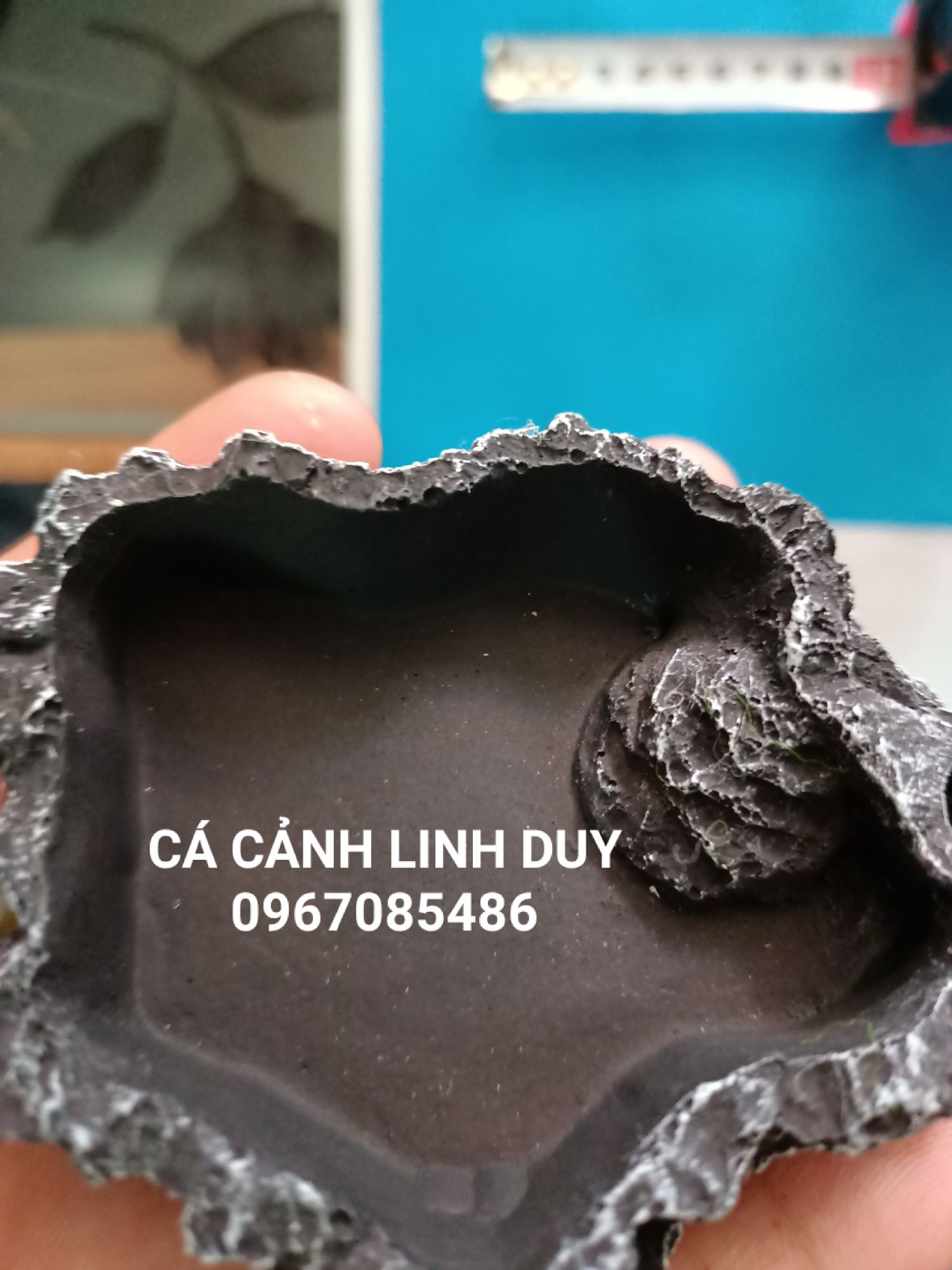 CHÉN ĐÁ CHO CÁ , TÉP CẢNH , DỤNG CỤ CHO CÁ , TÉP CẢNH ĂN