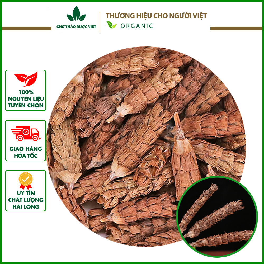 Cây Hạ Khô Thảo 1kg Hàng Chất Lượng Hỗ Trợ Phòng Chống Ung Thư