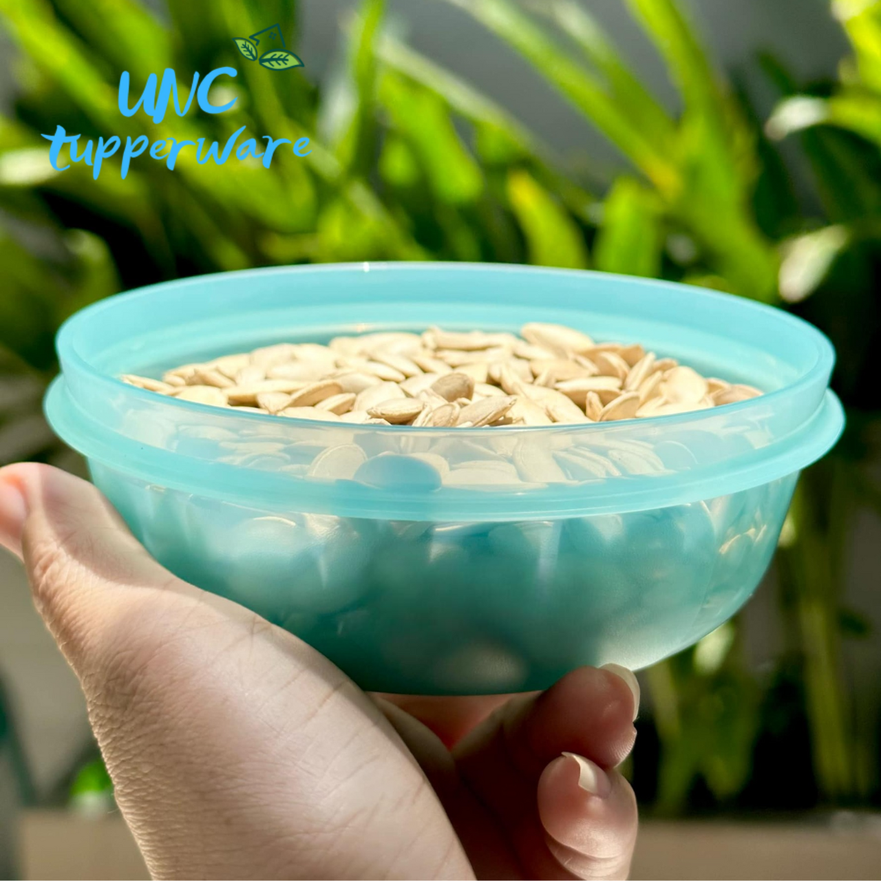 Bộ hộp bảo quản thực phẩm Tupperware Junior Modular Bowl 300ML (4)