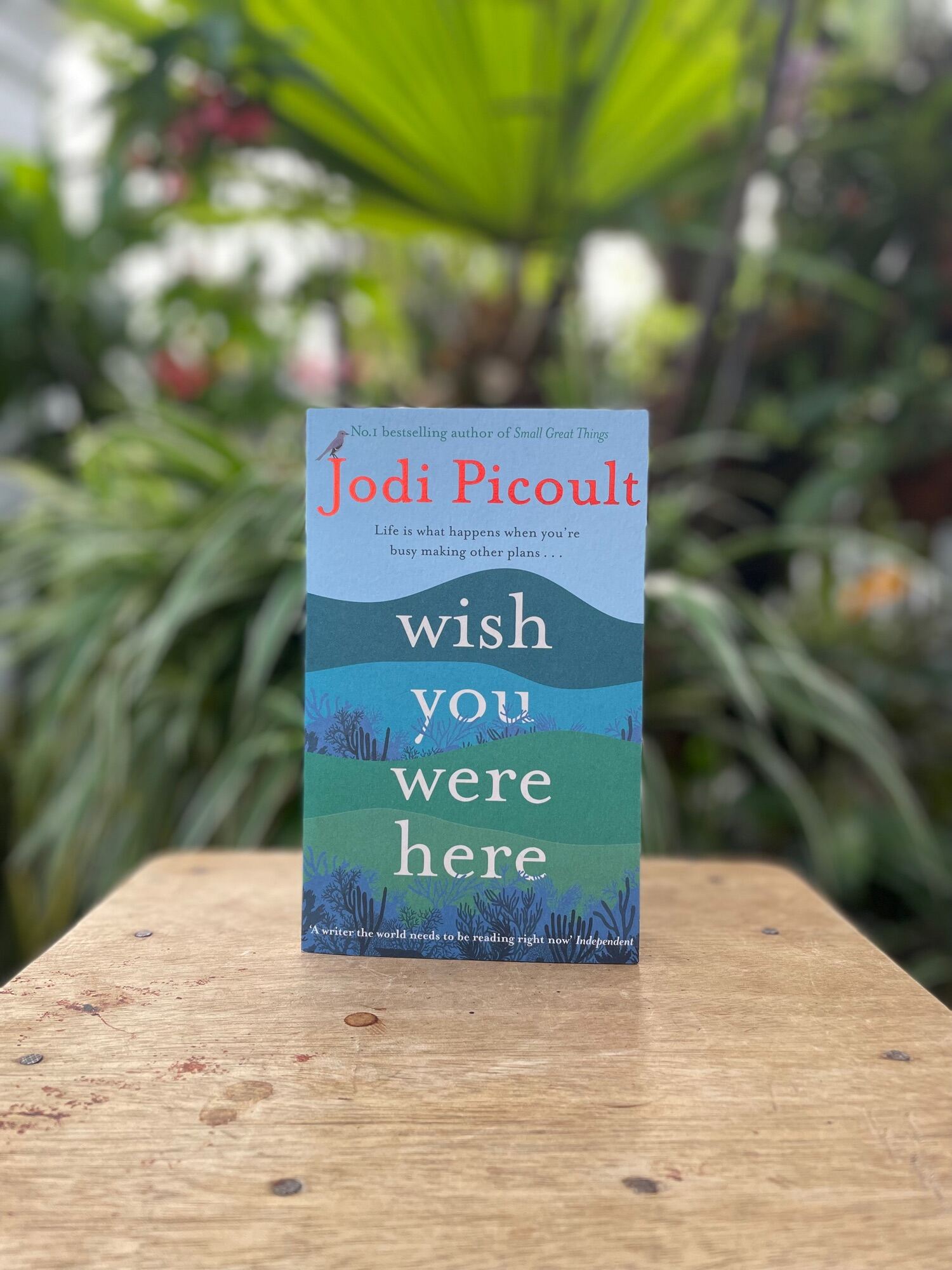 Wish You Were Here (Pocket size) - Jodi Picoult