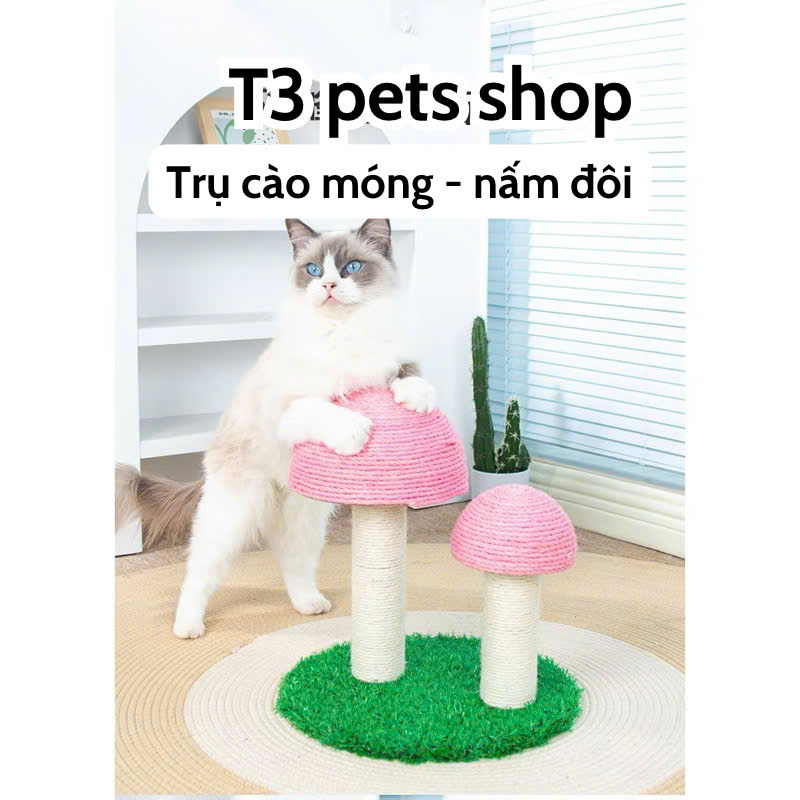 trụ mèo ( CAT TREE ) hình cây nấm dành cho bé iu - T3 PETS SHOP