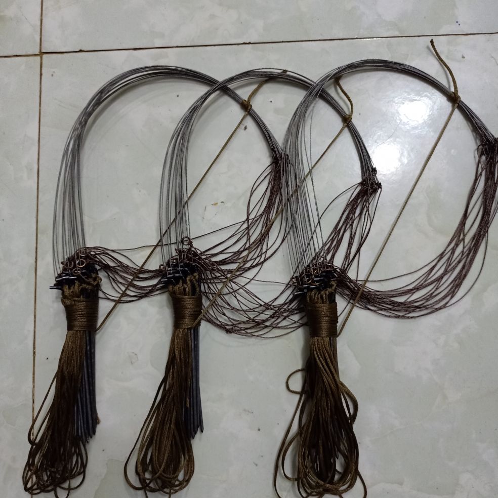 giò gà chân thép