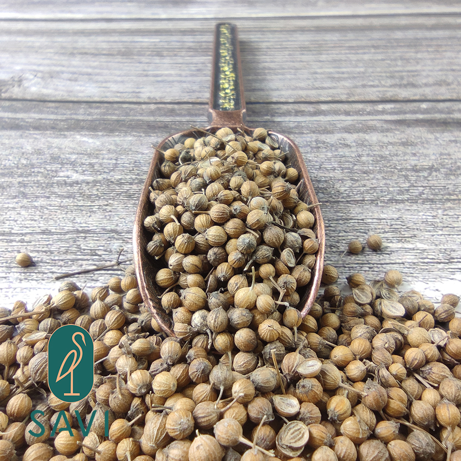 Hạt Ngò / Hạt Mùi Cao Cấp - High Quality Coriander