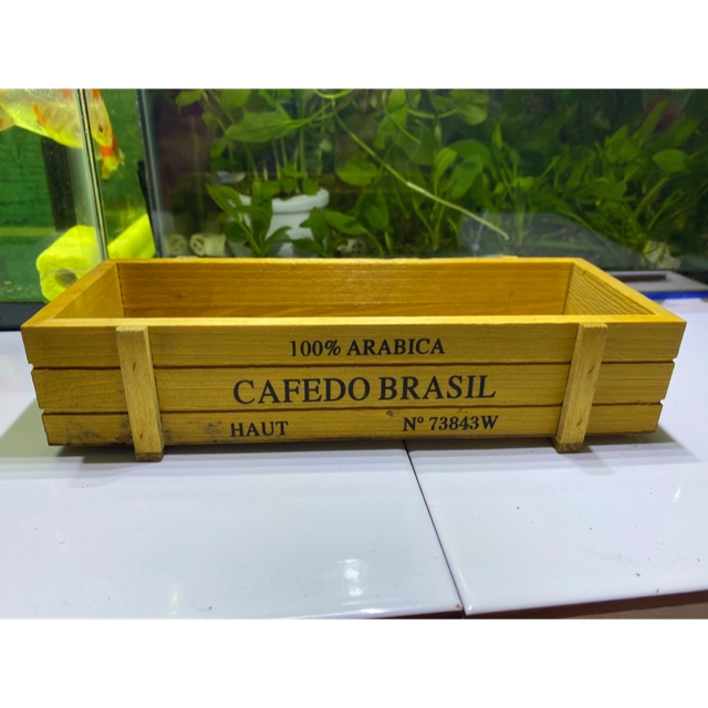 SEN ĐÁ TRỒNG CHẬU GỖ CEFODO
