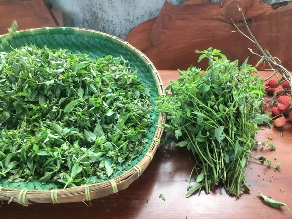 Muối cá lá é-Đặc sản Tây Nguyên hũ 150g