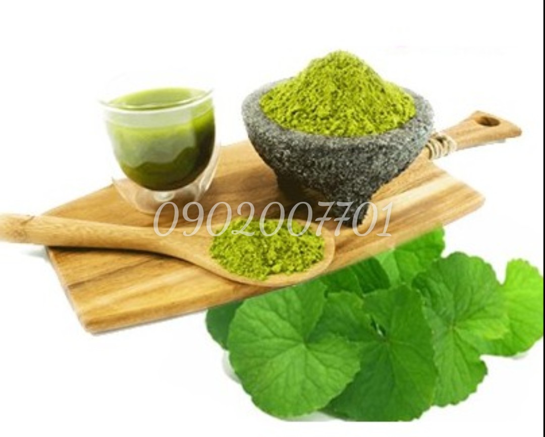 Bột rau má sấy lạnh nguyên chất 100%