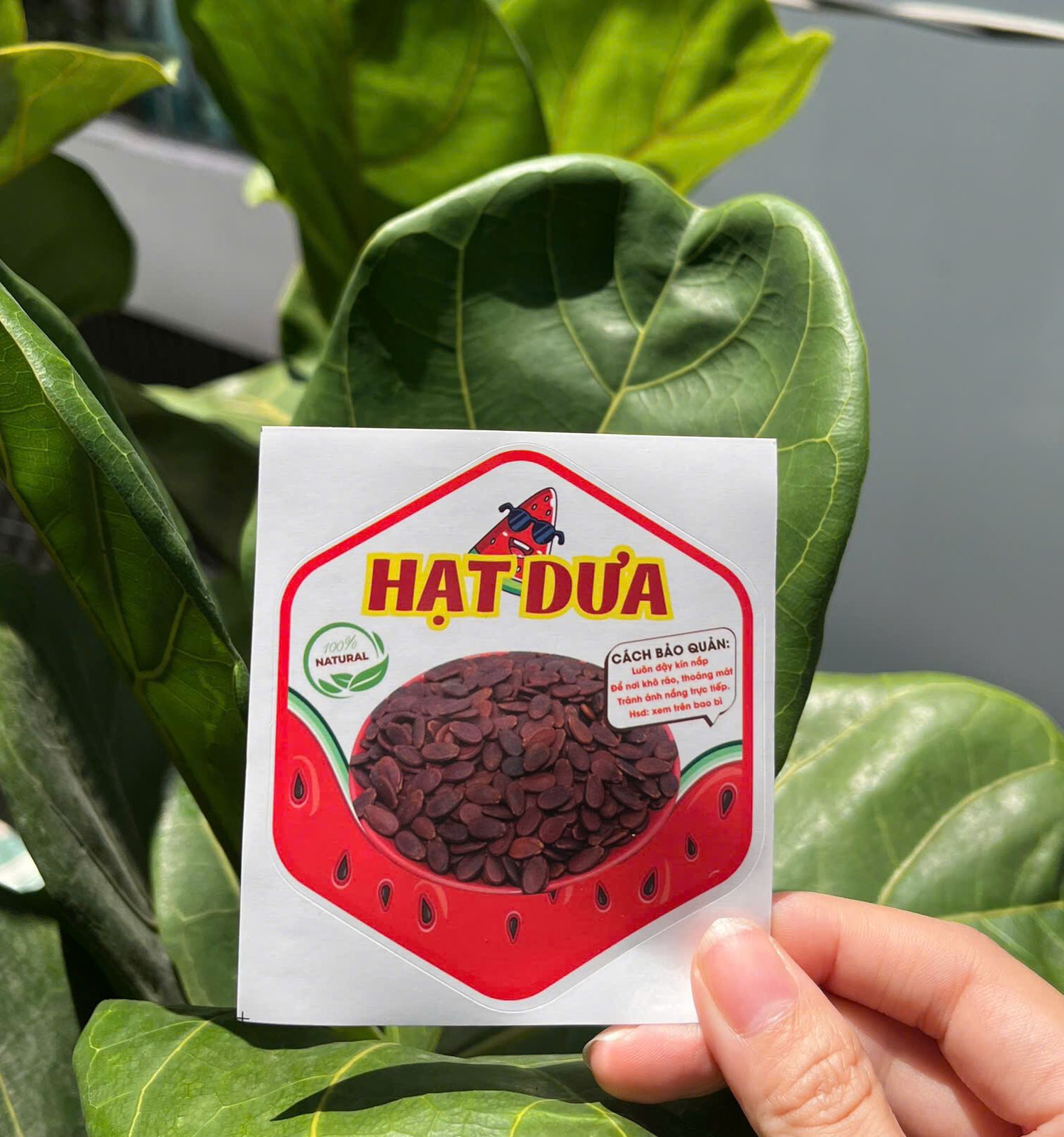 55 tem lục giác 7x8cm - "Hạt dưa"