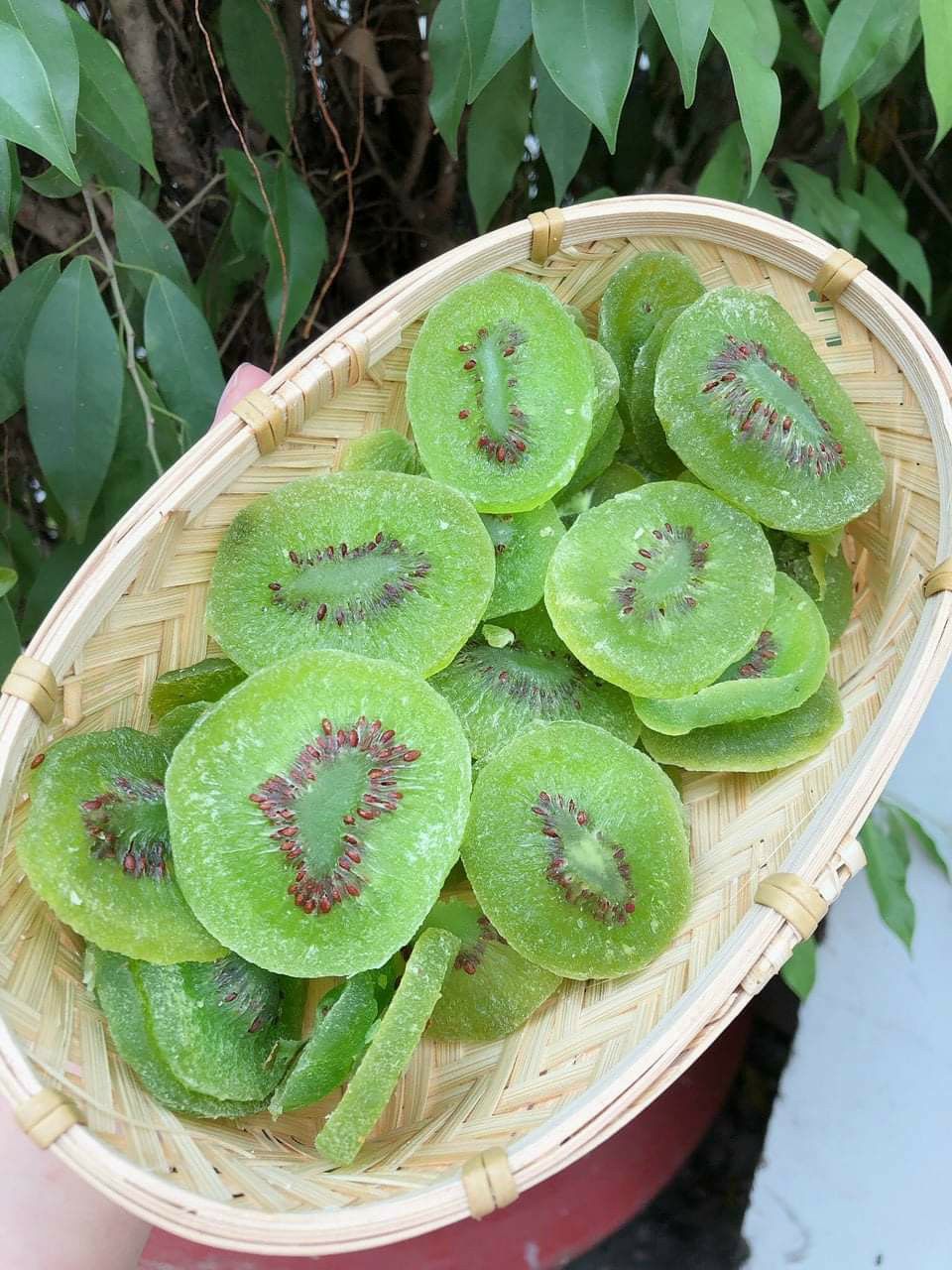 [HCM] Kiwi sấy dẻo 400gram, siêu ngon, rất nên thử
