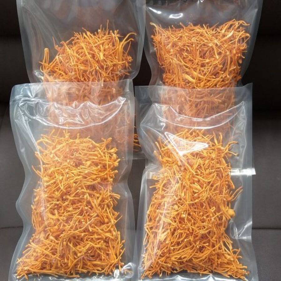 ĐÔNG TRÙNG HẠ THẢO KHÔ 0-1KG