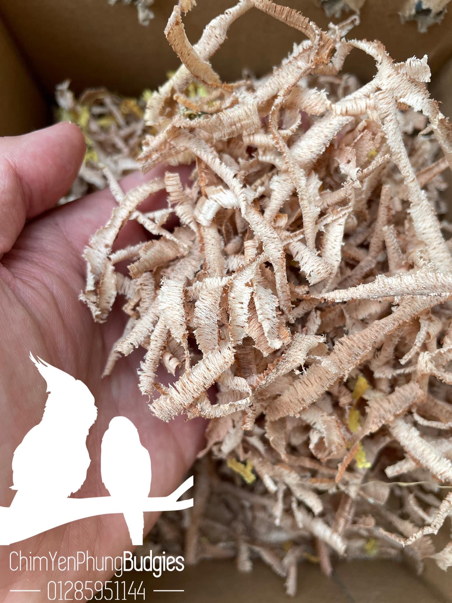 1KG DĂM BÀO THÔ LÓT TỔ CHIM (xơ bào)