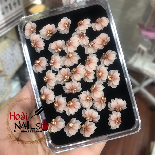 Hoa bột cúc nửa (1 bông)