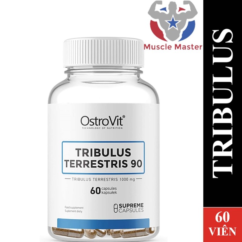 Thực Phẩm Bổ Sung Tăng Test Ostrovit Tribulus Terrestris 90 60 Viên nhập khẩu