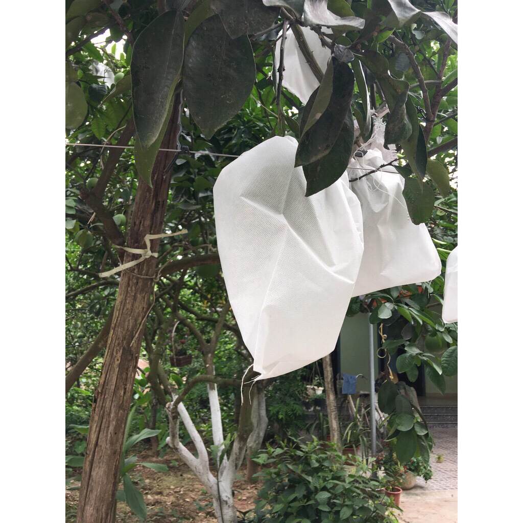 (SIÊU KHUYẾN MÃI) SET 200 TÚI BỌC BƯỞI CÓ DÂY RÚT 25X30CM