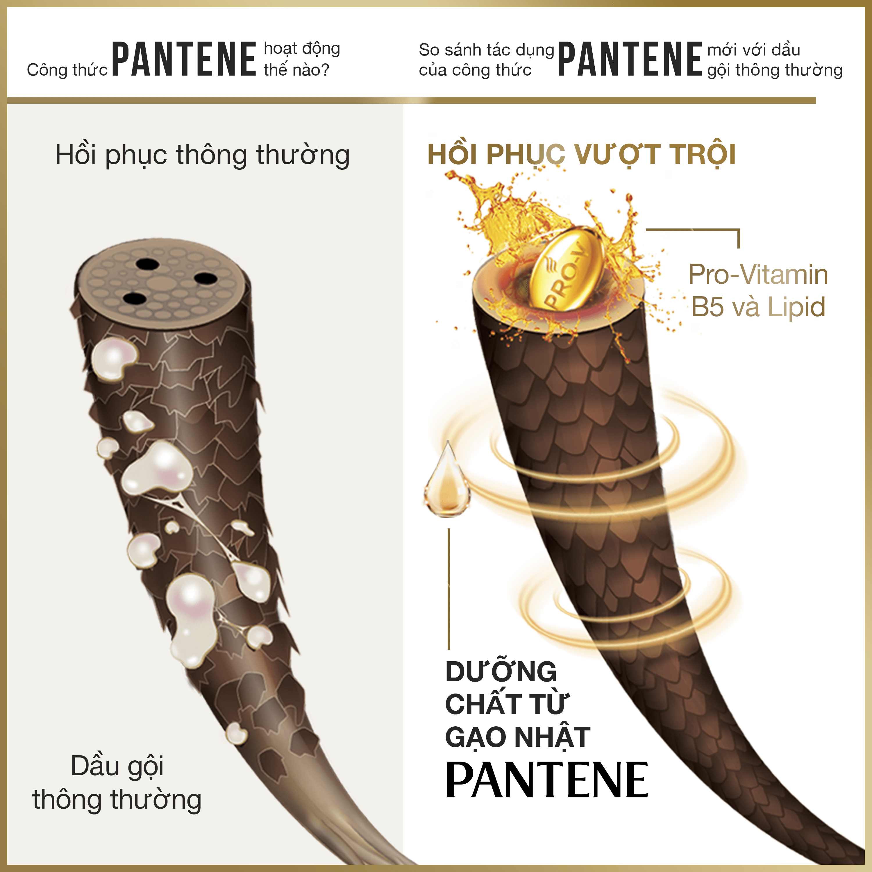 Dầu Gội Pantene chai 650g - Ngăn Rụng Tóc