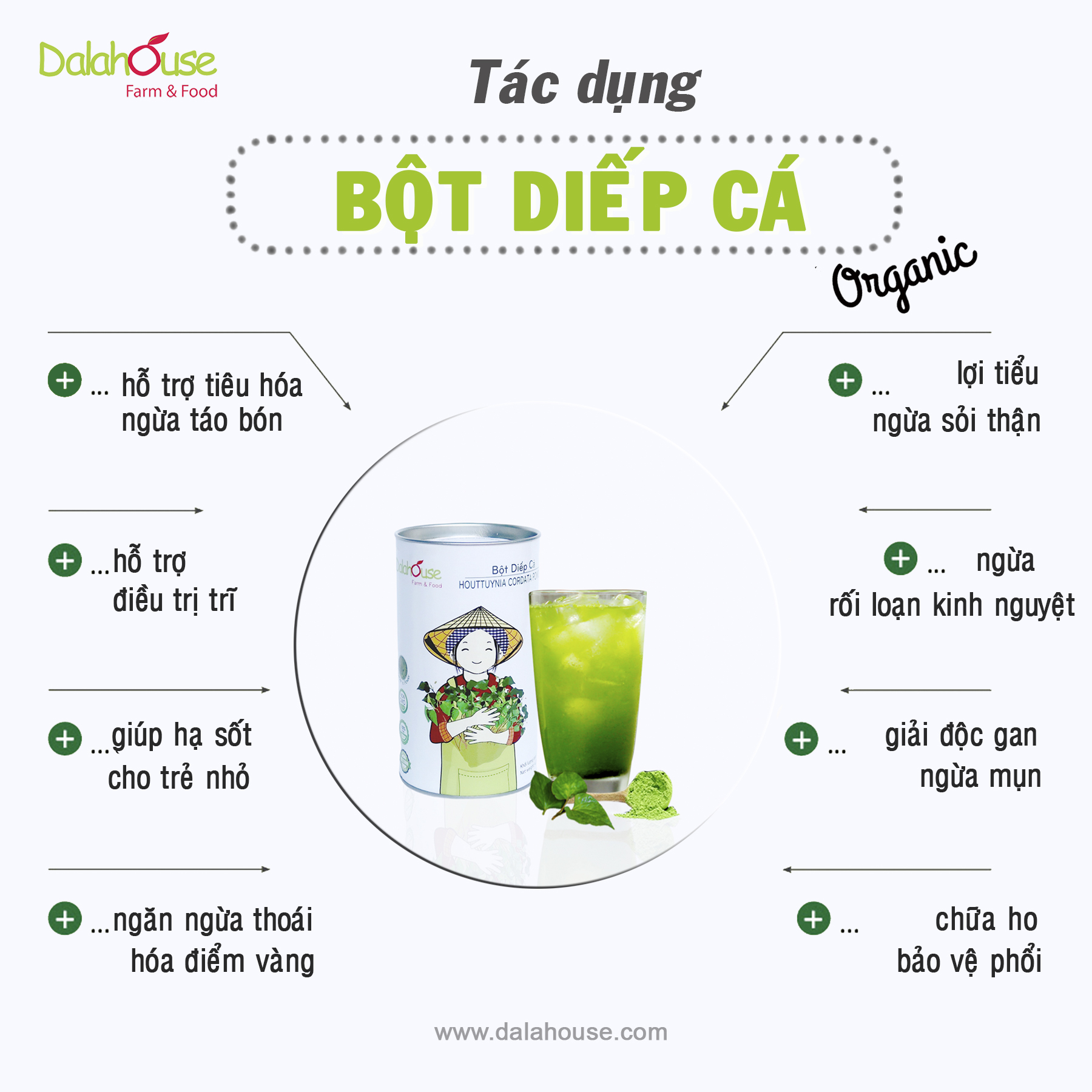 Bột diếp cá sấy lạnh Dalahouse hộp 120g