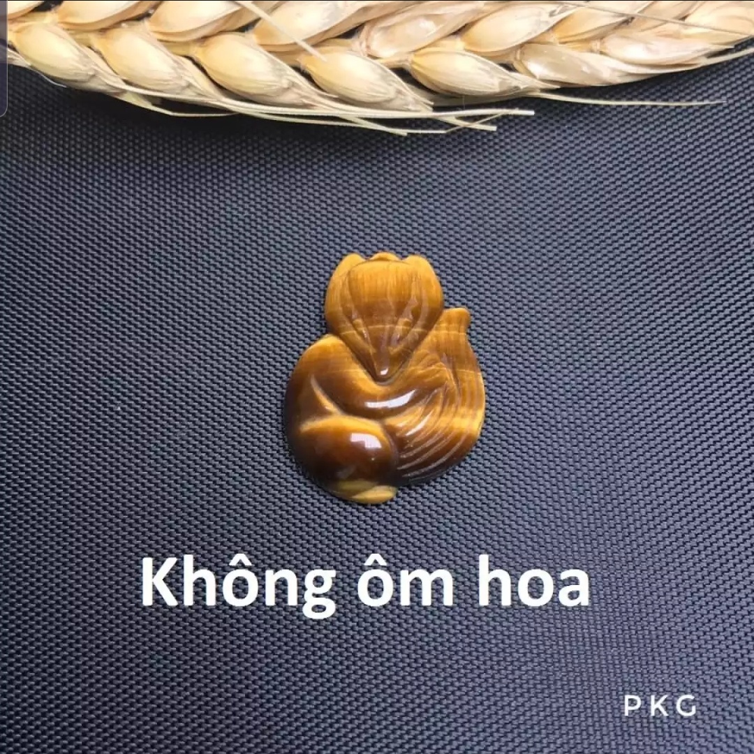 Hồ ly đá tự nhiên Mắt hổ vàng nâu