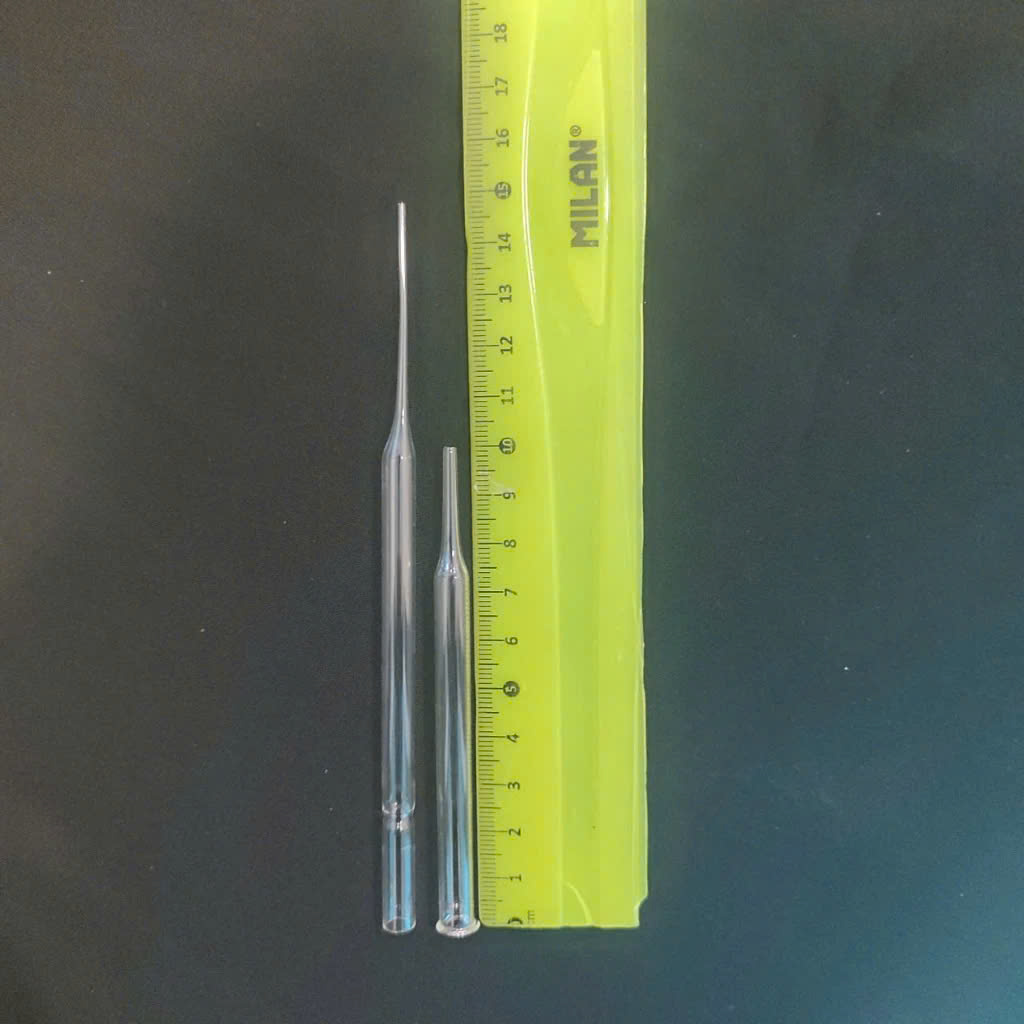 [HCM]Pipet paster ống hút thủy tinh đã có núm bóp