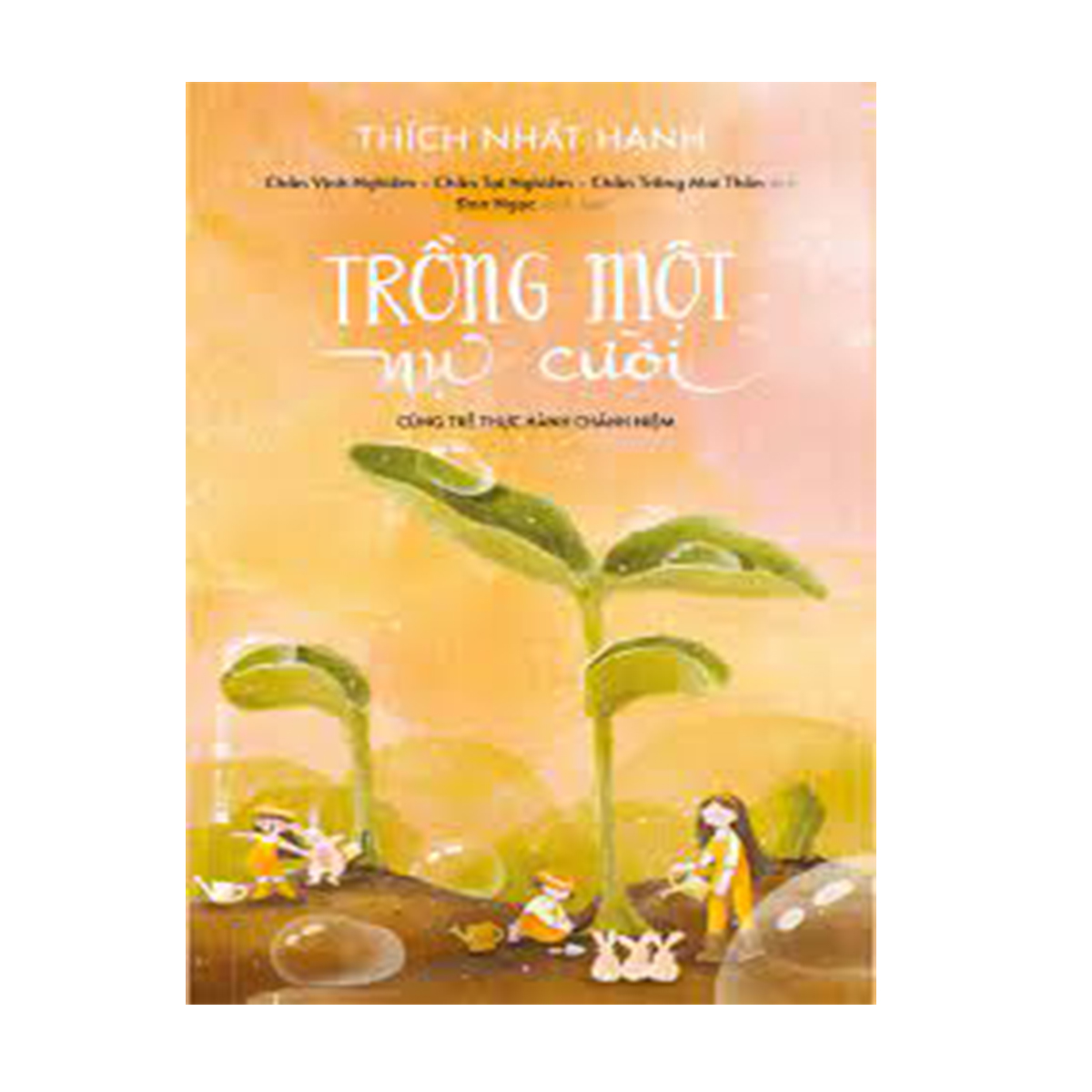 Sách - Trồng một nụ cười - bìa mềm