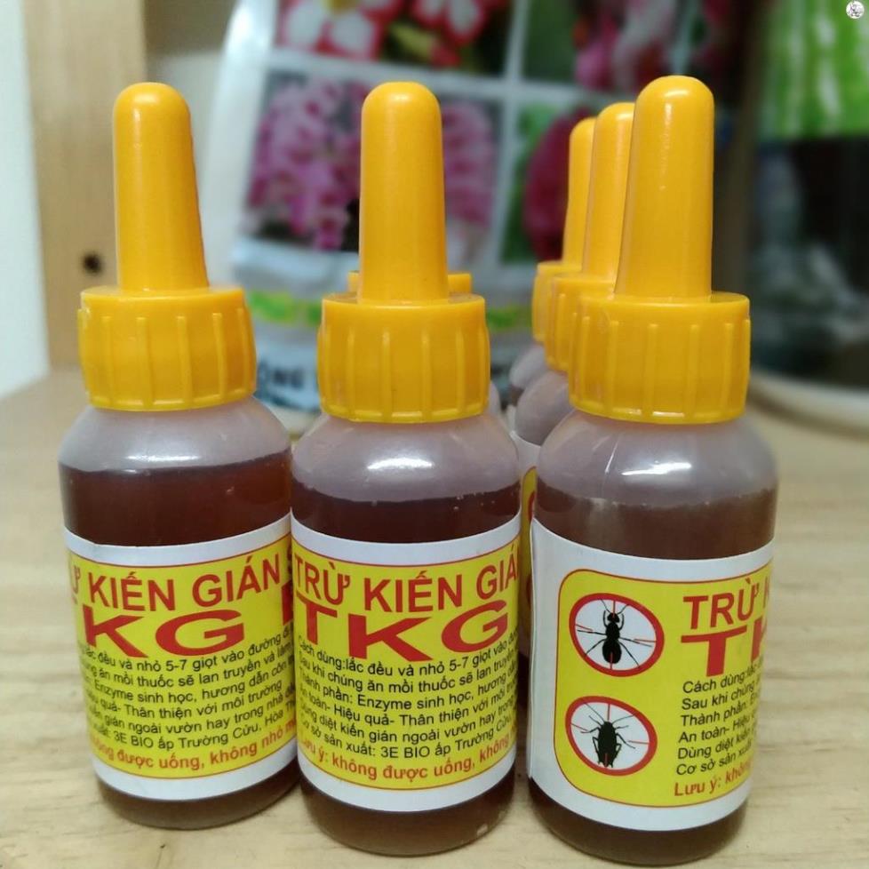 Thuốc diệt kiến gián tận gốc sinh học 10ml TKG BIO