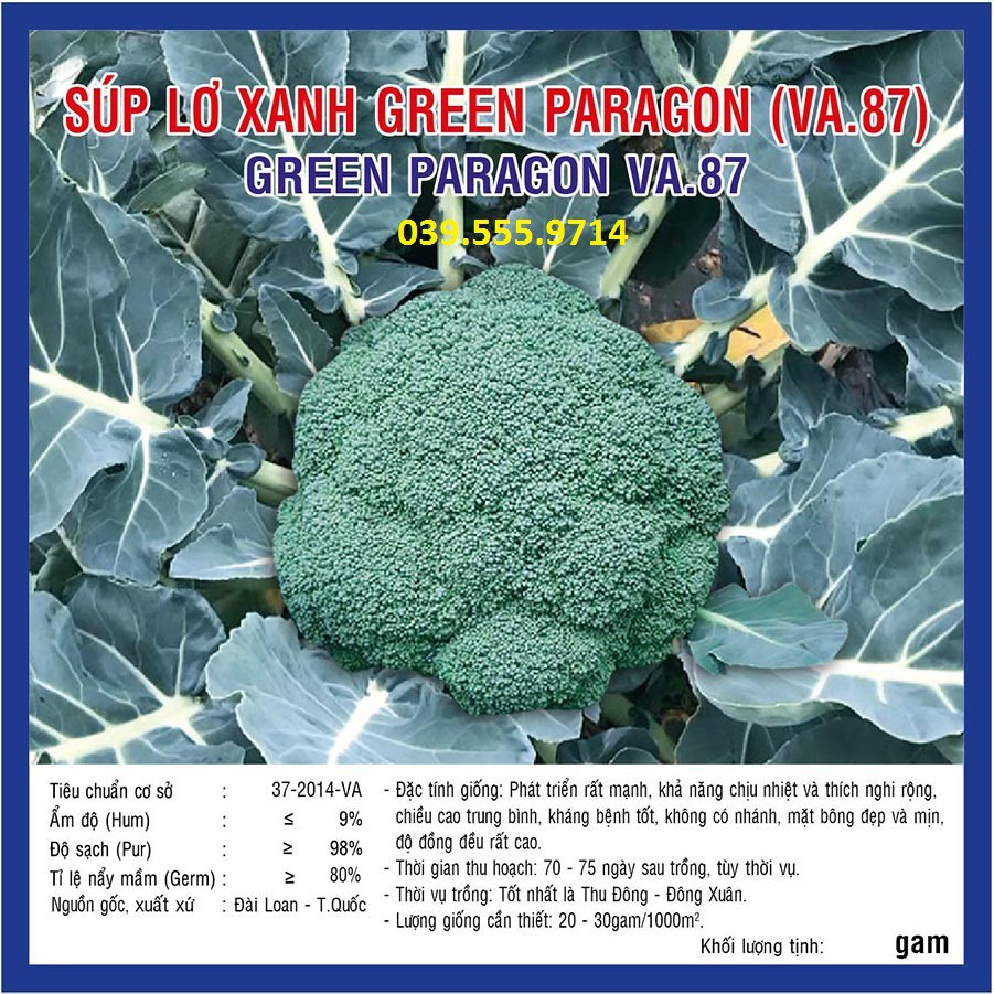 Hạt giống Súp Lơ Xanh Green Paragon (VA.87) 2.500 hạt