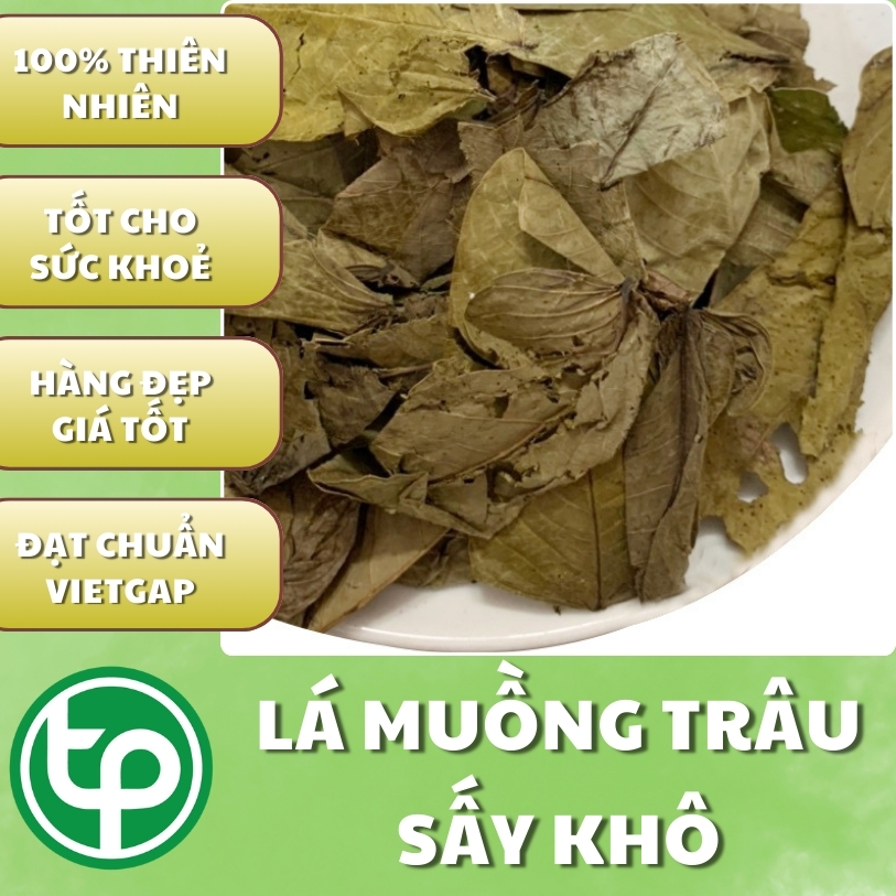 [HOT] Lá muồng trâu khô 1kg - Trà sạch thơm ngon bổ dưỡng - Thảo Dược Tấn Phát