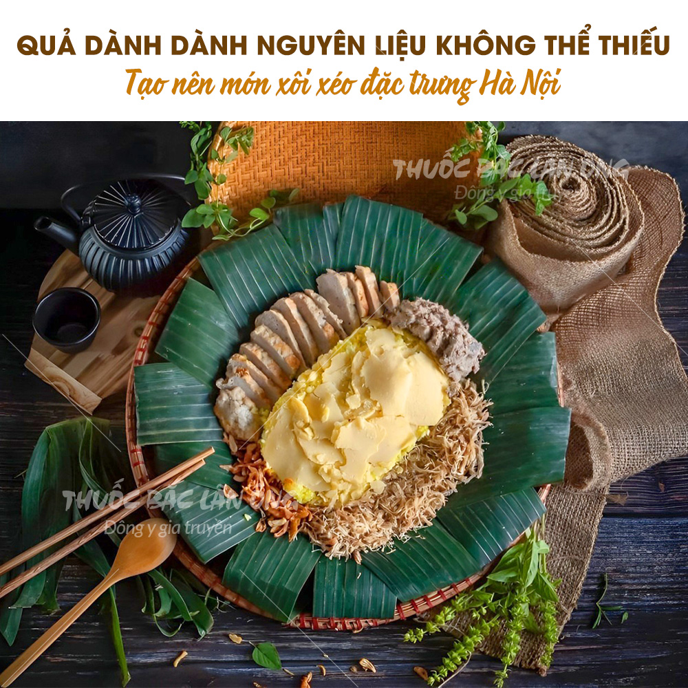 Quả dành dành 100g, chi tử khô tạo màu, mùi tự nhiên cho các món ăn