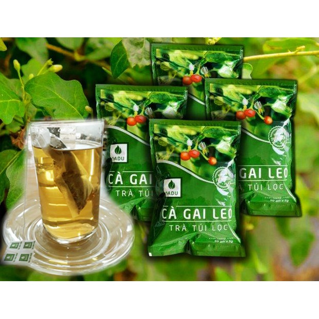 [HCM]Trà Cà Gai Leo SADU (1 KG) 200 Túi lọc (mát gan giải độc)