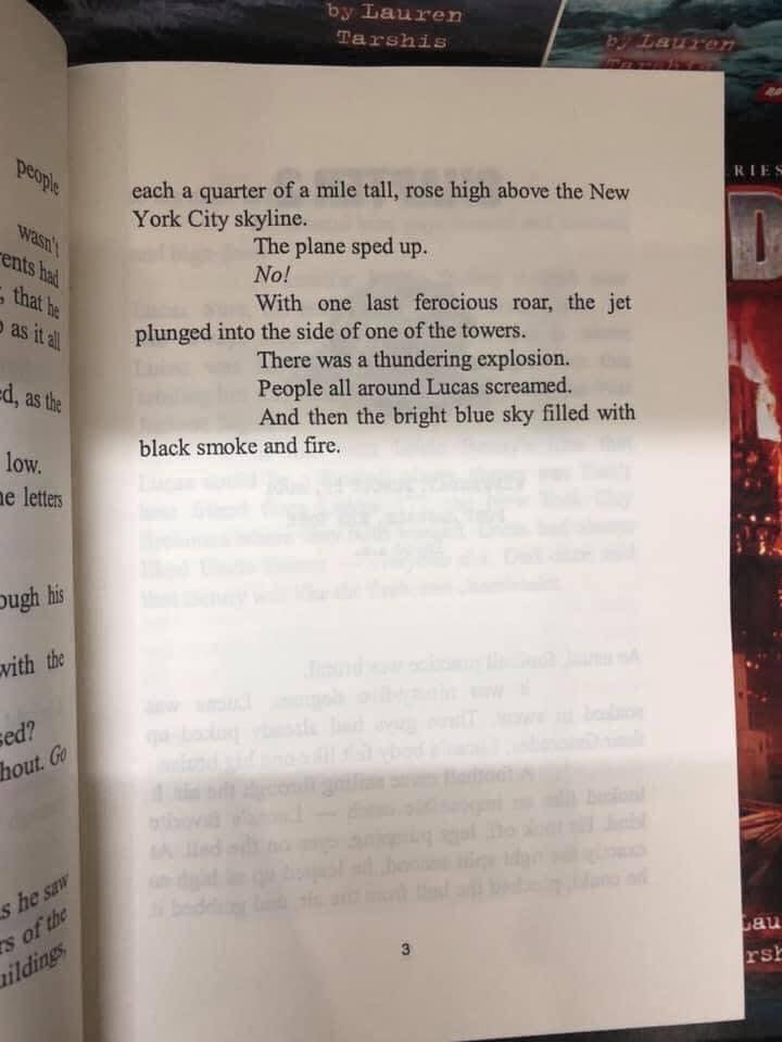 I SURVIVED (10 Books)