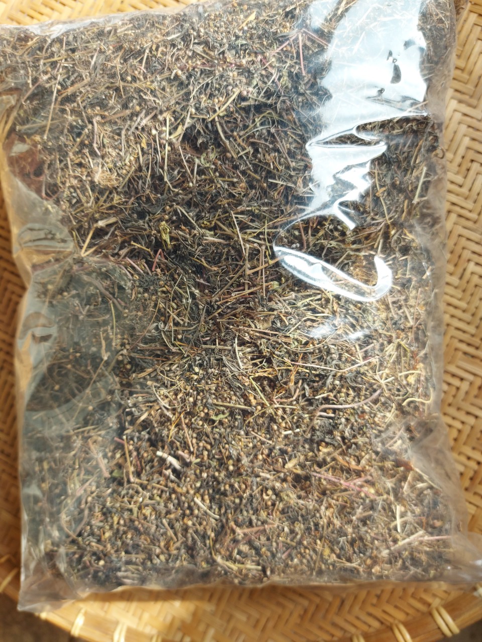 BẠCH HOA XÀ/ BẠCH HOA XÀ THIỆT THẢO