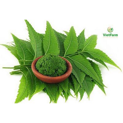 Bột hoa neem Neauty Skin Care Ấn Độ