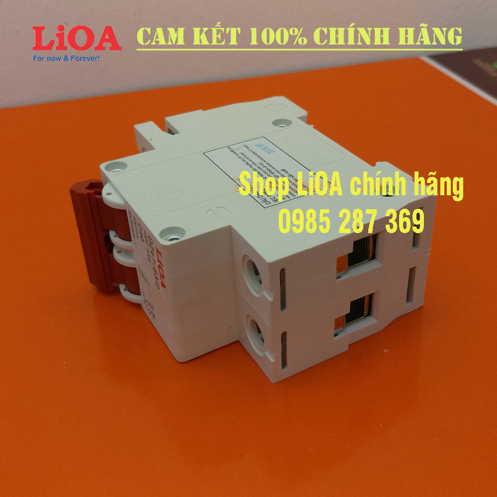 Cầu dao tự động (APTOMAT) LiOA  loại 2 cực. Át LiOA