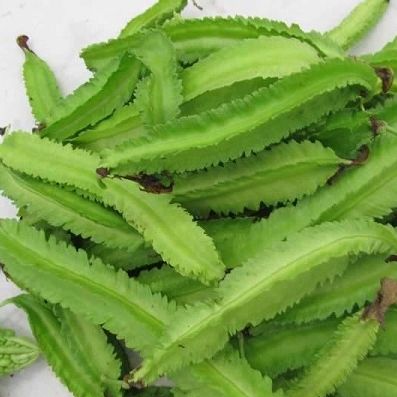 Hạt giống đậu rồng thái sai trái