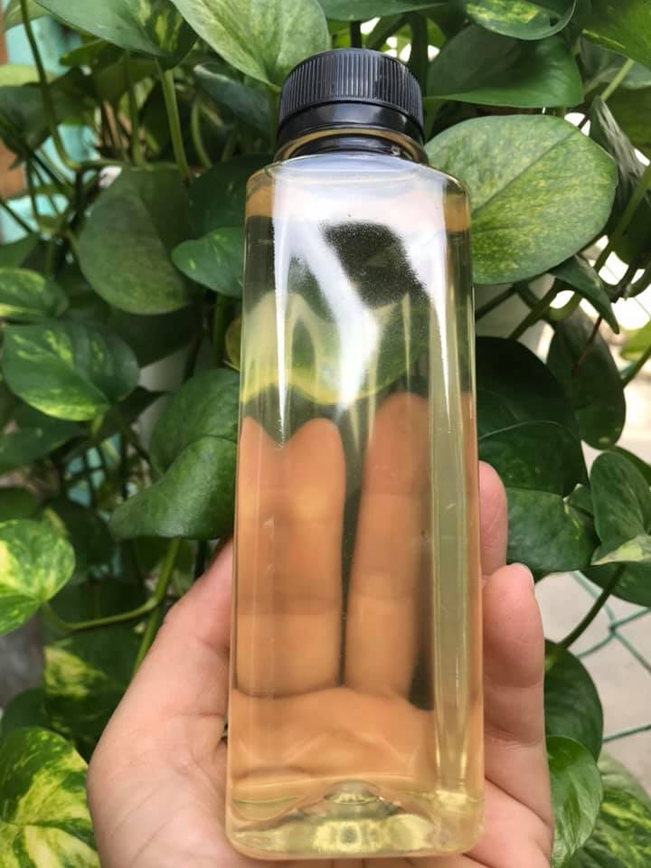 Dầu dừa Bến Tre nguyên chất 220ml - 500ml