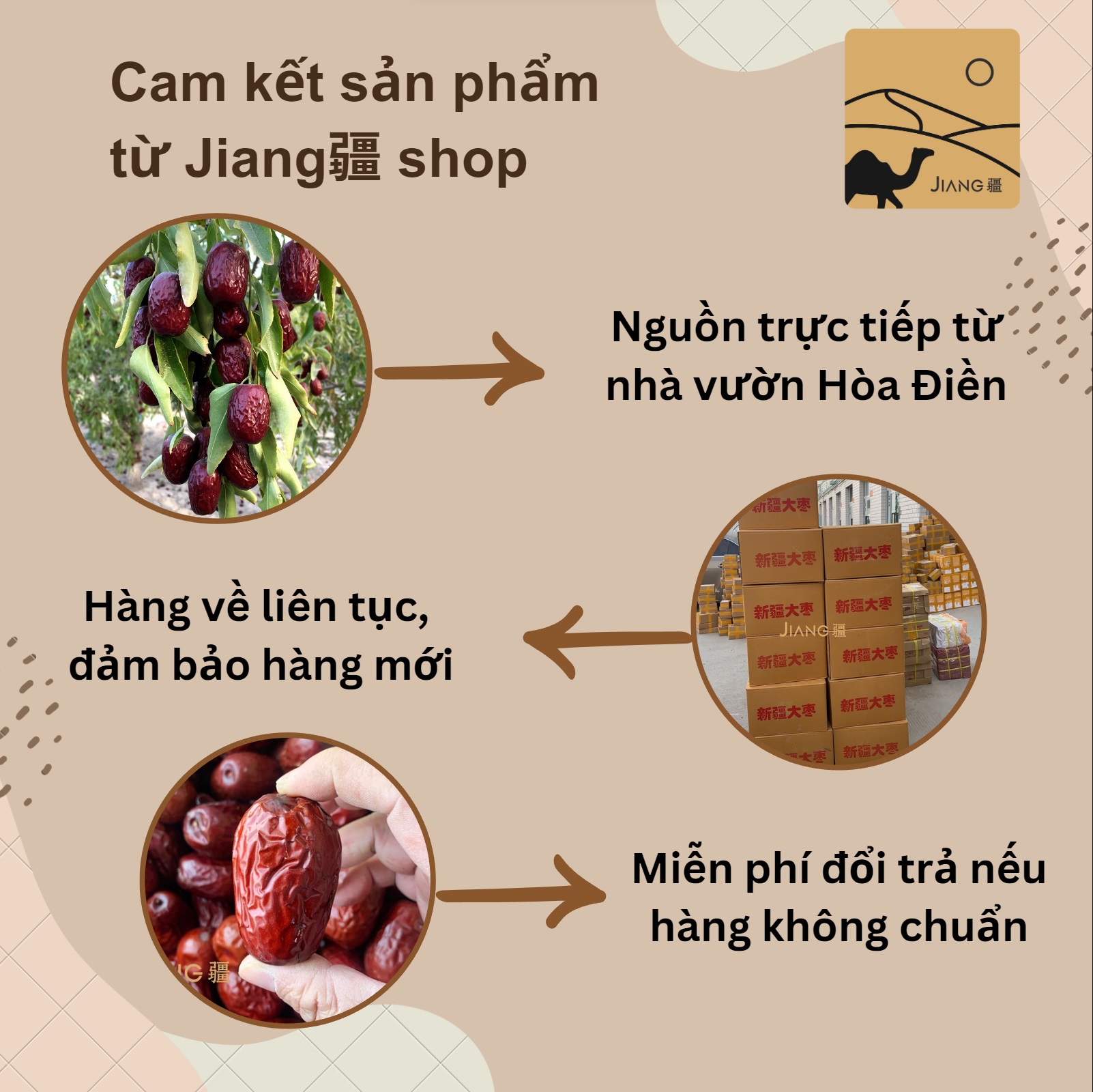 Vua táo Hòa Điền Tân Cương size trứng gà, vỏ mỏng, thịt mềm dẻo, ngọt thanh thích hợp ăn vặt và hãm trà - Jiang Hà Nội