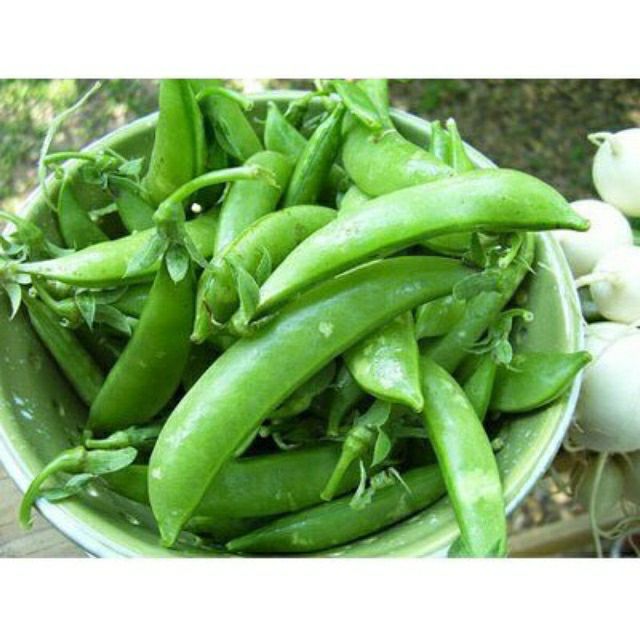 Hạt giống đậu hà lan- gói 20gr