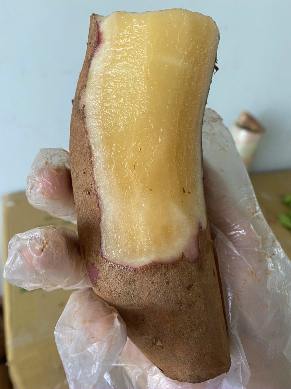 Khoai sâm đất lựa chọn từng củ bao ngon 1kg