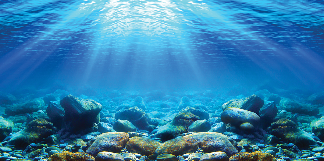 Tranh 3d hồ cá đẹp, có keo sẵn mặt tranh ,kèm đồ dán tranh, KÍCH THƯỚC tranh đa dạng theo yêu cầu bể (40-50-60....120,130,160cm)