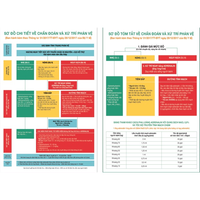 Tranh Phác Đồ Sơ Cứu Bản 2 phác đồ 1 Tờ