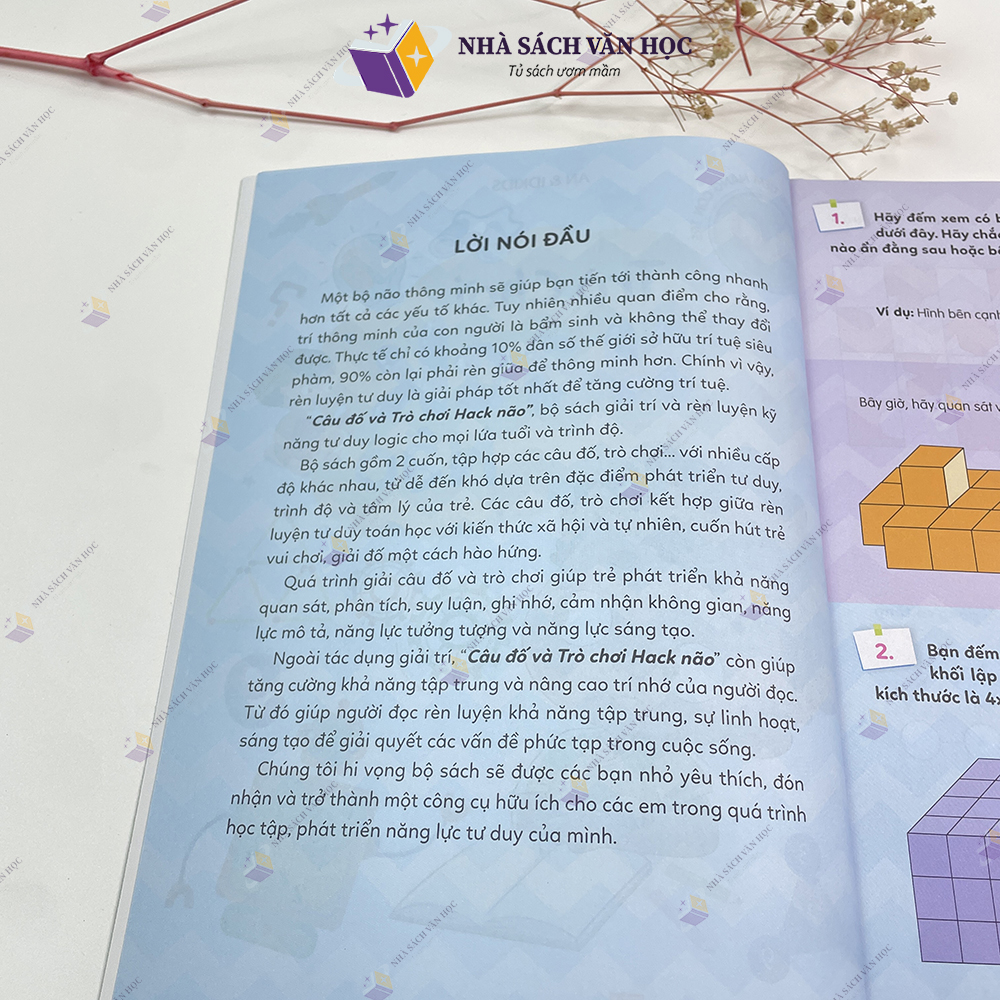 Sách - Trò Chơi Hack Não - Khám Phá Tiềm Năng Con Trẻ ( Giúp Bé Phát Triển IQ )