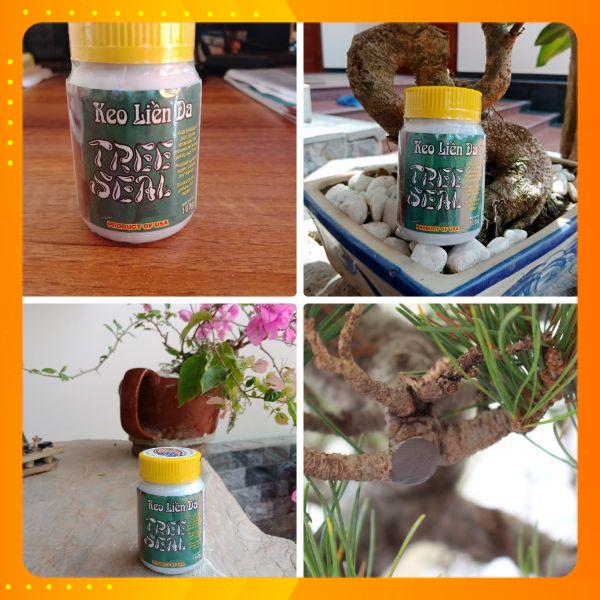 KEO LIỀN SẸO CÂY TREE SEAL ĐEN MỸ 100GR